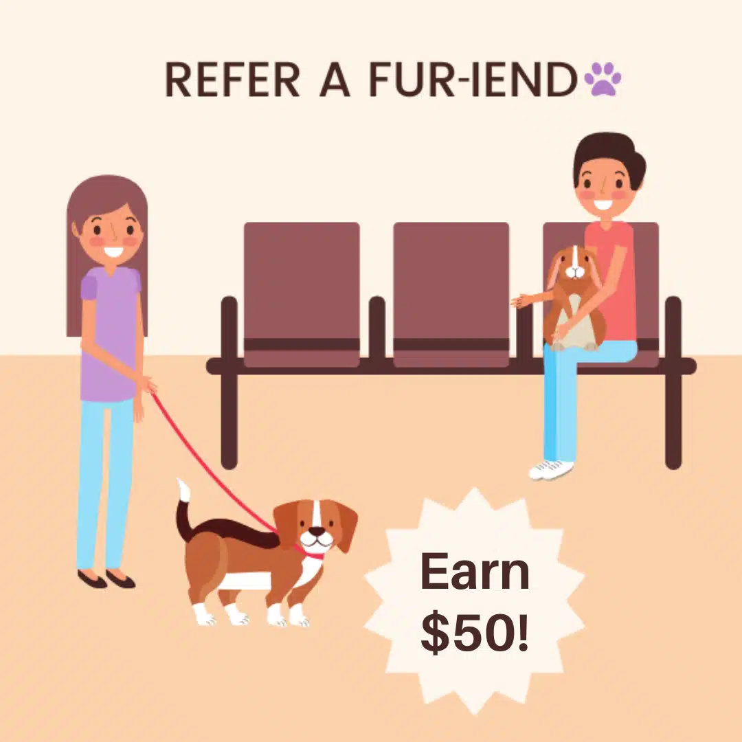 $50 referral image a cat sitting in the house and a standing dog in the park