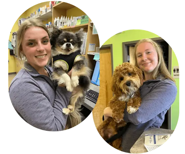 vets-with-pets vets with pets
